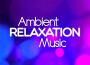 New Age Natural Relax Essence: 15 Soothing Songs with Nature Sounds for Pure Relaxing專輯_Best Relaxation MusiNew Age Natural Relax Essence: 15 Soothing Songs with Nature Sounds for Pure Relaxing最新專輯