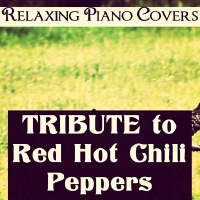 Tribute to Red Hot Chili Peppers