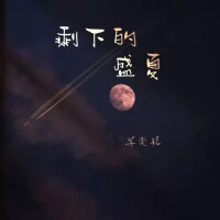 剩下的盛夏