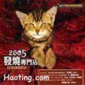 2005發燒專門店Heat Is On 專輯_英文群星2005發燒專門店Heat Is On 最新專輯