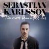 Sebastian Karlsson歌曲歌詞大全_Sebastian Karlsson最新歌曲歌詞