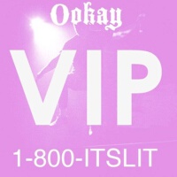 Hotline Bling (Ookay VIP Remix)