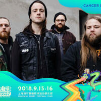 Cancer Bats