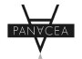 Panacea Project歌曲歌詞大全_Panacea Project最新歌曲歌詞