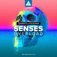 Senses Overload專輯_TeminiteSenses Overload最新專輯