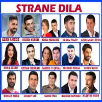 Strane Dıla