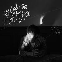 沈寧個人資料介紹_個人檔案(生日/星座/歌曲/專輯/MV作品)