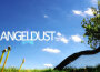 Angeldust