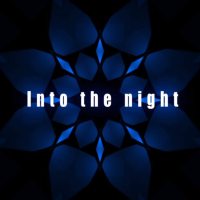 Into the night