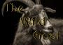 Carpra Aegagrus專輯_The Wild GoatCarpra Aegagrus最新專輯