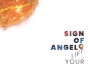 Sign Of Angelo歌曲歌詞大全_Sign Of Angelo最新歌曲歌詞