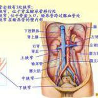 動脈音樂圖片照片_動脈音樂