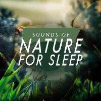 Sounds Of Nature歌曲歌詞大全_Sounds Of Nature最新歌曲歌詞