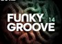 Nothing But... Funky Groove, Vol. 14專輯_Luxx DazeNothing But... Funky Groove, Vol. 14最新專輯