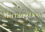 Morning Dew專輯_Adam GubmanMorning Dew最新專輯