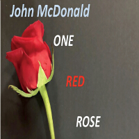 One Red Rose