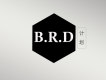 B.R.D 計畫個人資料介紹_個人檔案(生日/星座/歌曲/專輯/MV作品)