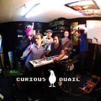 Curious Quail歌曲歌詞大全_Curious Quail最新歌曲歌詞