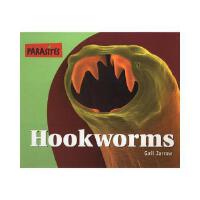 Hookworms