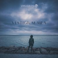 Vestigium Mea