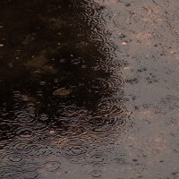 雨跡&陳小朵圖片照片_雨跡&陳小朵