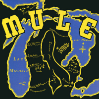 Mule