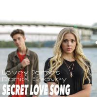 Secret Love Song