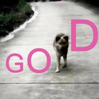 好狗 (Good Dog)