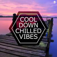 Cool Down Chilled Vibes專輯_CMACool Down Chilled Vibes最新專輯