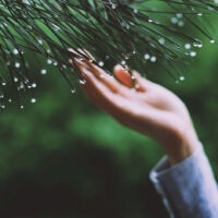 下完這場雨