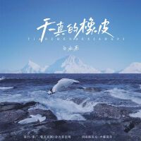 白水寒歌曲歌詞大全_白水寒最新歌曲歌詞