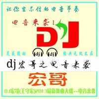 Dj王守宏2015電音合輯