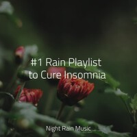 #1 Rain Playlist to Cure Insomnia專輯_Reiki Tribe#1 Rain Playlist to Cure Insomnia最新專輯