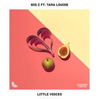 Little Voices (feat. Tara Louise)專輯_BIG ZLittle Voices (feat. Tara Louise)最新專輯