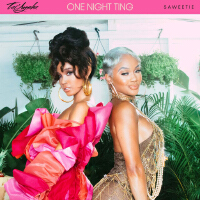 One Night Ting（Explicit）