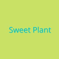 Sweet Plant