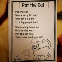 Pat The Cat歌曲歌詞大全_Pat The Cat最新歌曲歌詞