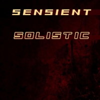 Solistic