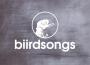 Biirdsongs歌曲歌詞大全_Biirdsongs最新歌曲歌詞