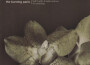 Half-Truths & Indiscretions - The Anthology專輯_The Burning ParisHalf-Truths & Indiscretions - The Anthology最新專輯
