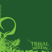 Tribal Seeds專輯_Tribal SeedsTribal Seeds最新專輯