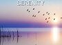 Serenity專輯_AeoliahSerenity最新專輯