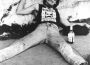 GG Allin