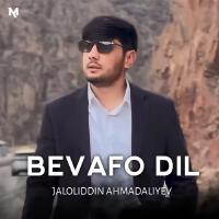 Bevafo dil