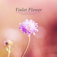 Violet Flower專輯_휘영Violet Flower最新專輯