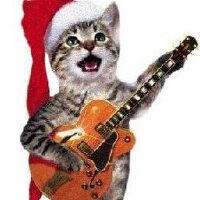 Jingle Cats圖片照片_照片寫真