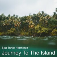 Sea Turtle Harmonic個人資料介紹_個人檔案(生日/星座/歌曲/專輯/MV作品)