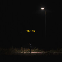 Terne (Explicit)