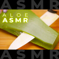 A.S.M.R Best Aloe Sounds for Sleep, Tingles and Relaxation (No Talking)