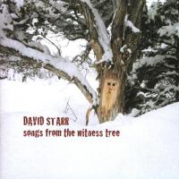 Songs From the Witness Tree專輯_David StarrSongs From the Witness Tree最新專輯